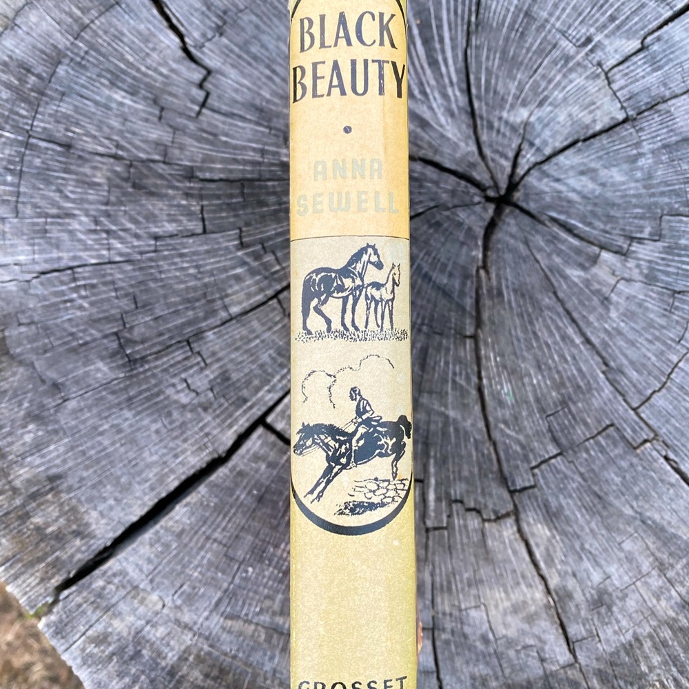 Old Black Beauty Book - Picture 2 of 5